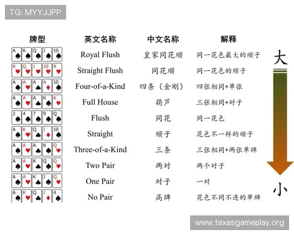 全面解析德州扑克的基本规则与玩法新手必看的详细指南